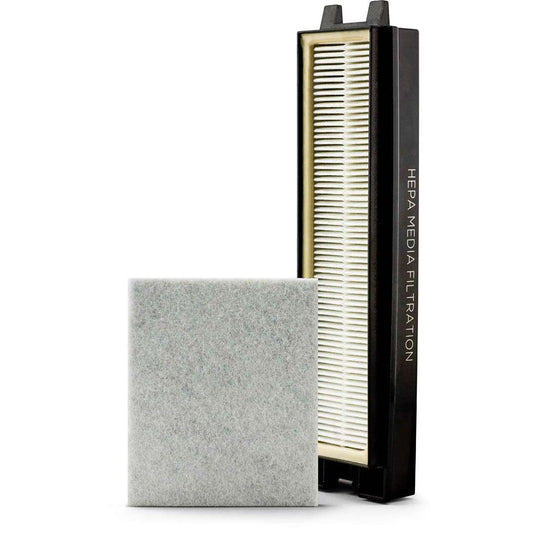 Riccar R25D Deluxe Clean Air Upright